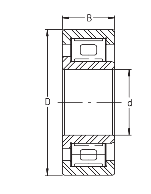 ZSL19 2315