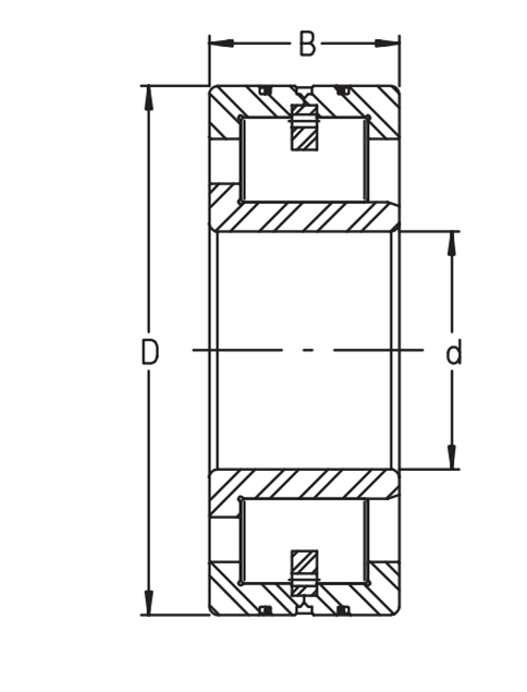 LSL19 2360