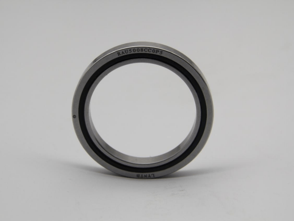 RAU Thin Section Crossed Roller Bearing