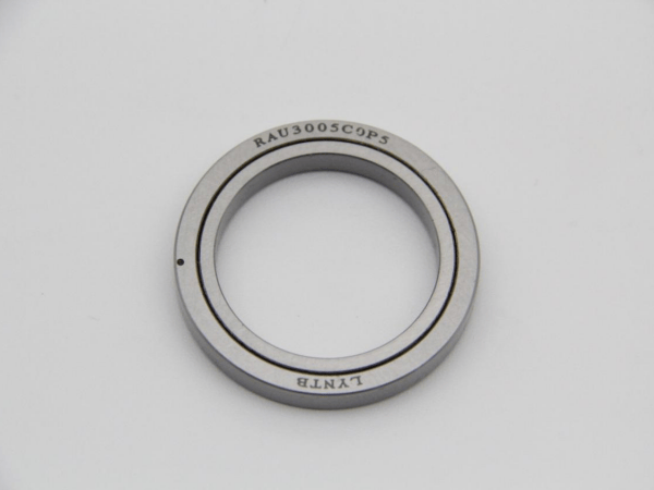 RAU Crossed Roller Bearing
