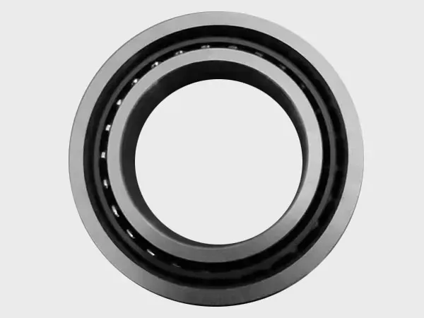 BAR10/19 Ultra High - Speed Spindle Bearing
